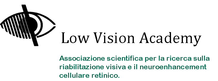 Low Vision Academy